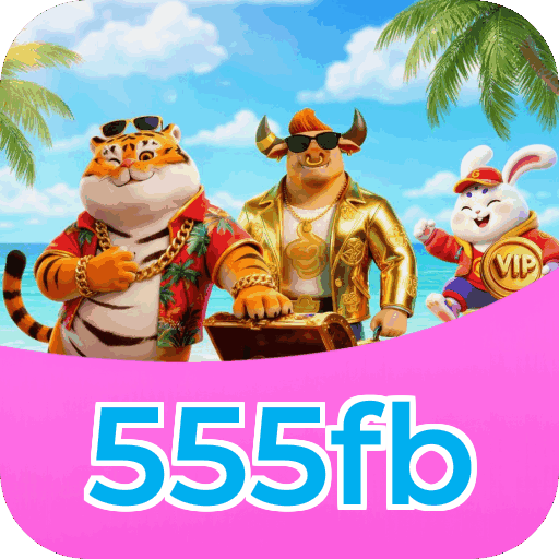 Interface 555fb